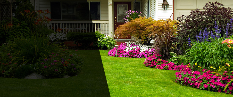 Briarcliff Manor Landscapers