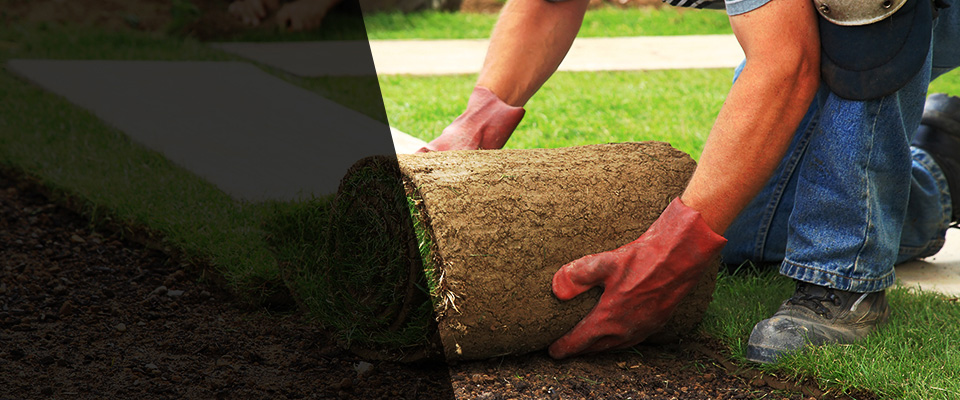 Briarcliff Manor Landscapers